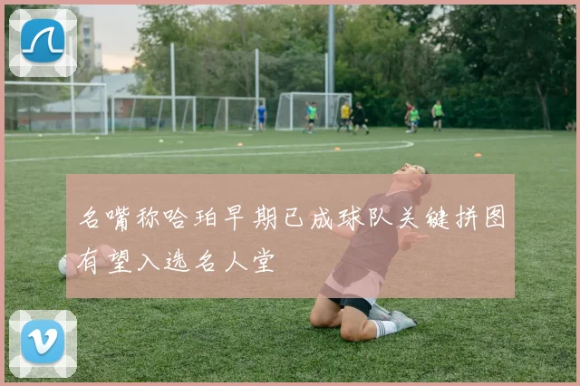 名嘴称哈珀早期已成球队关键拼图有望入选名人堂